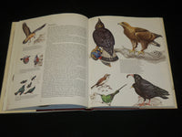 1976 BIRDS THEIR LIFE WAYS THEIR WORLD HARDCOVER BOOK BY DR. PERRINS - I 1898