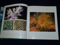 Coral Reefs : Nature's Richest Realm by Roger C. Steene (1990, Hardcover)- I 307