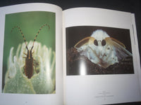 1996 MICROCOSMOS - THE VISTIBLE WORLD OF INSECTS HARDCOVER BOOK BY - R 736P