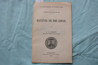 1904-1907 U.S. DEPT OF AGRICULTURE BULLETINS - LOT OF 3 - SOFTCOVER - K 3254