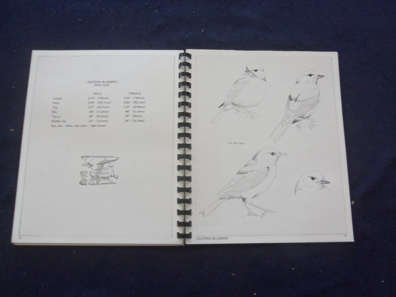 1986 BIRD STUDIES SOFTCOVER BOOK BY DAVID MOHRHARDT - KD 8204