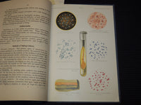 1901 SYLLABUS OF BACTERIOLOGY DESIGNED TO AID PHYSICIAN - 5 PLATES - J 7953