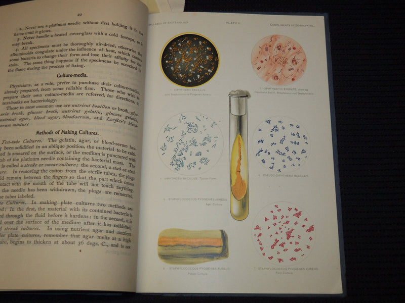 1901 SYLLABUS OF BACTERIOLOGY DESIGNED TO AID PHYSICIAN - 5 PLATES - J 7953