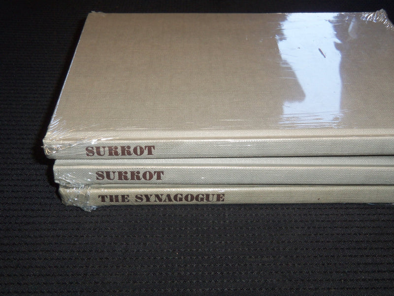 POPULAR HISTORY OF JEWISH CIVILIZATION LOT OF 40 - HASIDISM - SUKKOT - KD 47