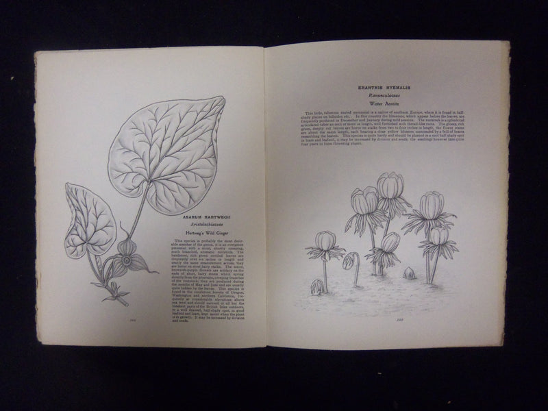 1930 FEBRUARY HARDY AND HALF-HARDY PLANTS MAGAZINE - LOT OF 2 - ST 3270