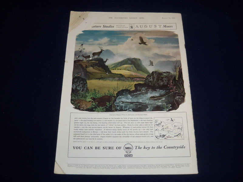 1955 AUGUST 13 ILLUSTRATED LONDON NEWS MAGAZINE - SHRINE OF WALES - E 8016