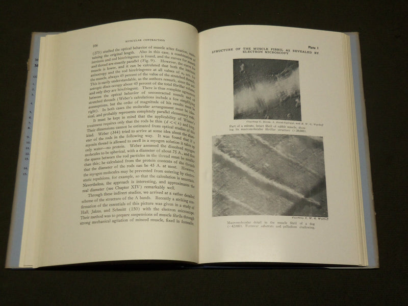 1950 MUSCULAR CONTRACTION BOOK BY W. F. H. M. MOMMAERTS - KD 6056