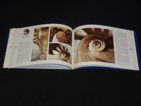 1997 EL TEMPLE DE LA SAGRADA FAMILIA SOFTCOVER BOOK BY CARANDELL - KD 6494J