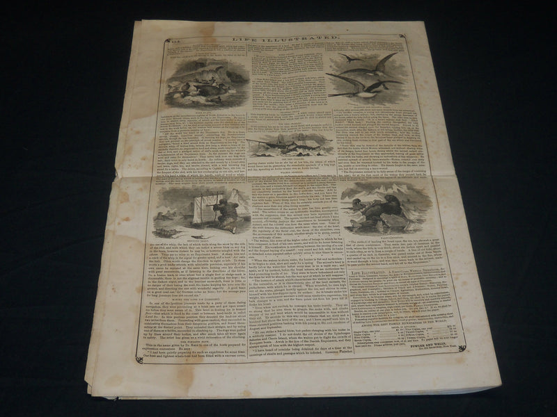 1856 DECEMBER 20 LIFE ILLUSTRATED NEWSPAPER - KANE'S ARCTIC EXPLORATION- NP 4816