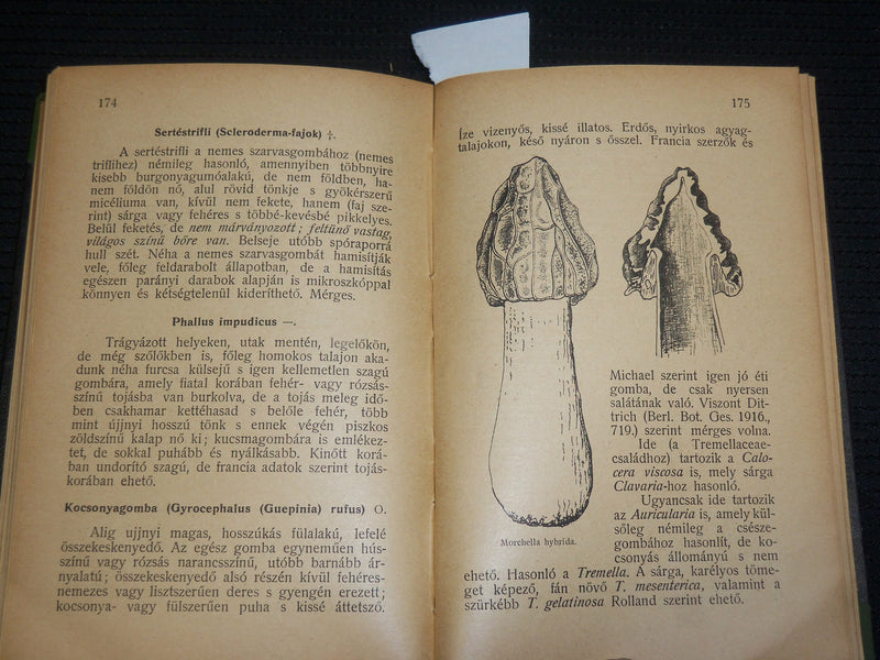 1921 AZ EHETO GOMBAK HARDCOVER BOOK BY DR. BERNATSKY JENO - J 7027