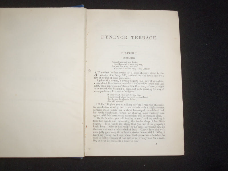 1885 DYNEVOR TERRACE OR THE CLUE OF LIFE HARDCOVER BOOK - ADRIAN STOKES- KD 9217