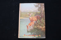 HOLLYWOOD ACTORS SCRAPBOOK - RONALD REAGAN - JOHN DEREK - ALAN LADD - E 24916