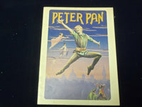 1980'S PETER PAN SOUVENIR SHOW PROGRAM - SANDY DUNCAN - J 5006