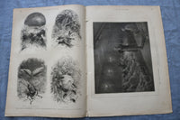 1875 DEC 11 LE MONDE ILLUSTRE MAGAZINE - EXPOSTION DES CEUVRES- FRENCH - NP 8456