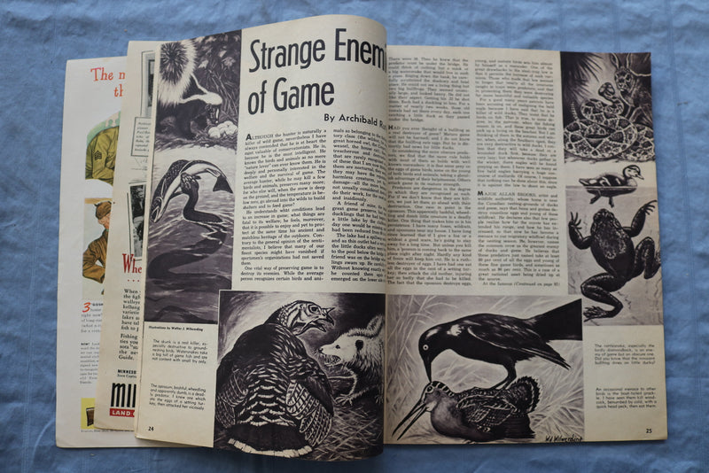 1944 JULY SPORTS AFIELD MAGAZINE - STRANGE ENEMIES OF GAME - ST 1001M