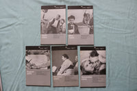 1999-2006 WALTER READE - LINCOLN CENTER PROGRAMS - LOT OF 29 - O 3938