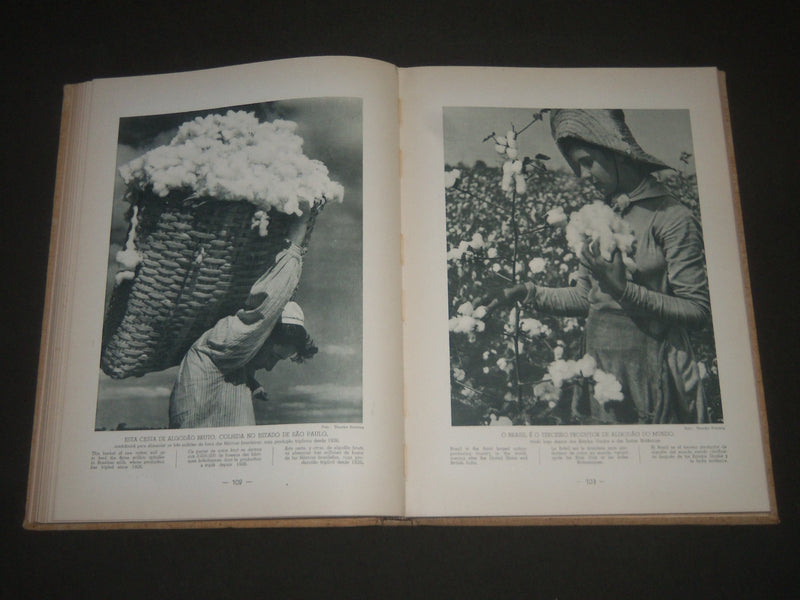 1950'S GENTE E TERRA DO BRASIL BY JOHN KNOX - NICE PHOTOS - KD 3951