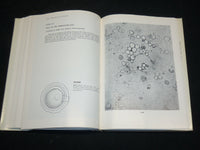 1969 MAMMALIAN FERTILIZATION BOOK BY ROBERT HADEK - KD 2763D