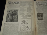 1902 OCT 12 NEW YORK TRIBUNE ILLUSTRATED SUPPLEMENT - H. K. BUSH-BROWN - NP 9017