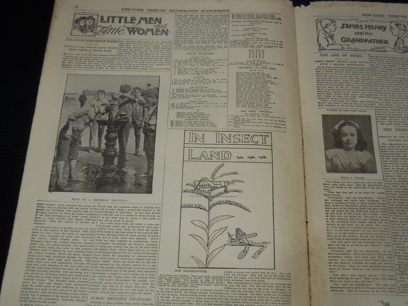 1902 OCT 12 NEW YORK TRIBUNE ILLUSTRATED SUPPLEMENT - H. K. BUSH-BROWN - NP 9017