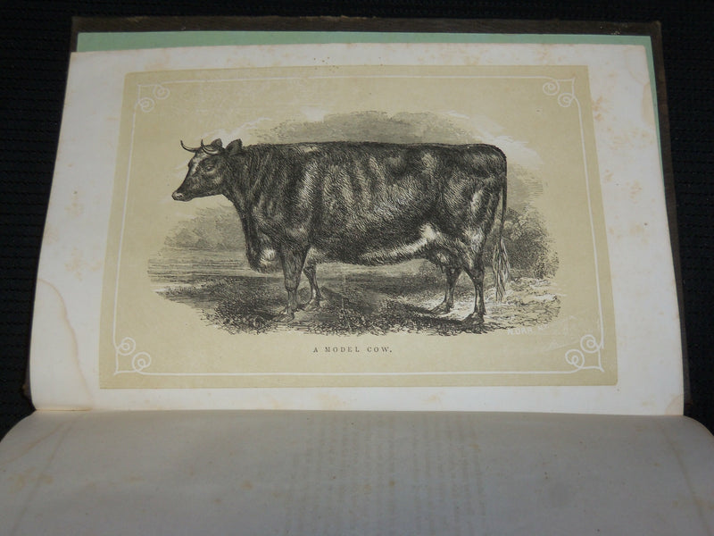 1853 THE FARM AND GARDEN MAGAZINE BOUND VOLUME - NICE ILLUSTRATIONS - KD 7397