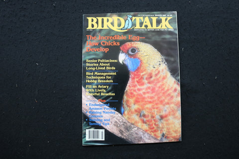 1987 MARCH BIRD TALK MAGAZINE - HOW CHICKS DEVELOP COVER - SP 4180S