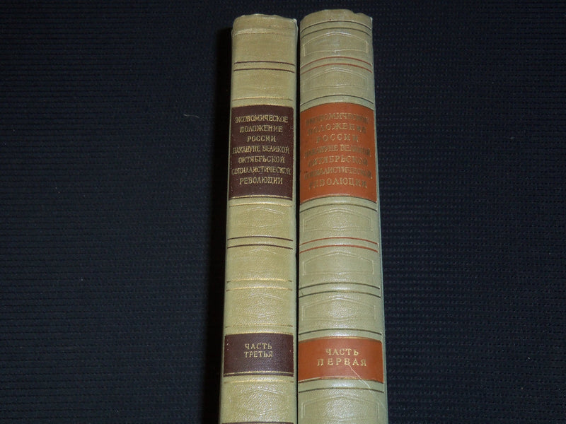 1957-1967 THE ECONOMIC SITUATION IN RUSSIA GREAT OCTOBER BOOK LOT OF 2- KD 4270N