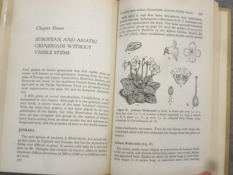 1957 AFRICAN VIOLETS, GLOXINIAS AND THEIR RELATIVES BY HAROLD MOORE JR.-KD 2760F