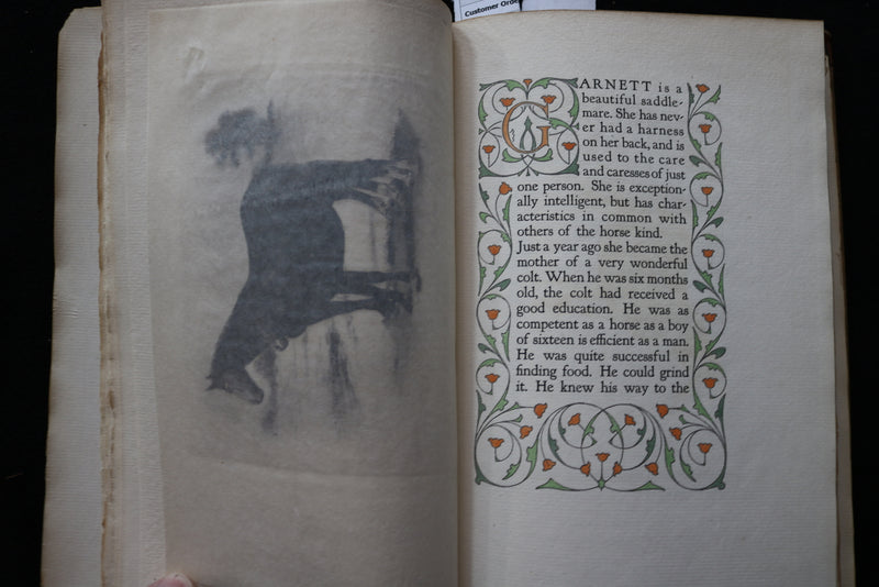 1913 GARNETT AND THE BRINDLED COW ALSO OTHER MOTHERS BY ALICE HUBBARD - K 2246