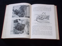 1944 NURSES HANDBOOK OF OBSTETRICS HARDCOVER BOOK BY LOUISE ZABRISKIE - KD 7608