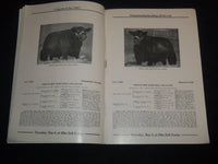 1952 ELKO BELL FARM PRODUCTION ABERDEEN-ANGUS BREEDERS' CATTLE CATALOG - J 9217