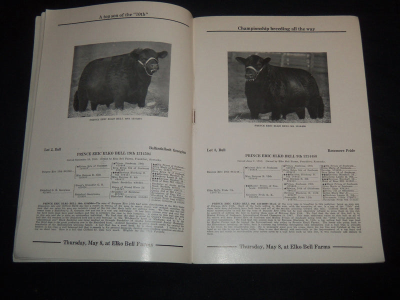 1952 ELKO BELL FARM PRODUCTION ABERDEEN-ANGUS BREEDERS' CATTLE CATALOG - J 9217