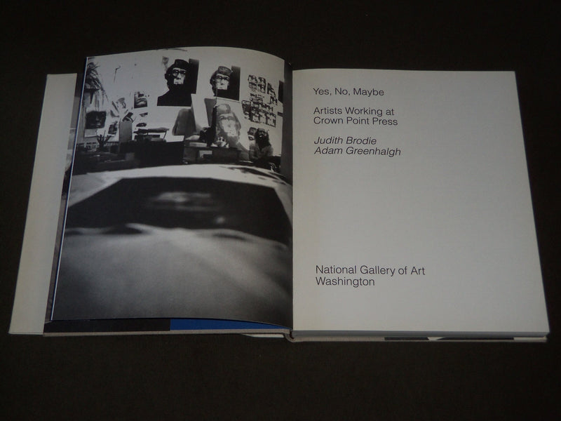 2013 YES, NO, MAYBE ARTISTS WORK HARDCOVER BOOK - GREAT PHOTOS - I 1626