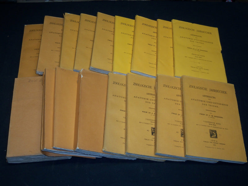 1894-1904 ZOOLOGISCHE JAHRBUCHER FUR ANATOMIE UND ONTOGENIE LOT OF 39 - WR 1112
