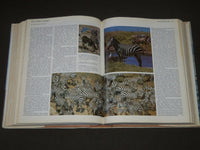 1985 The Encyclopedia of Mammals edited by Dr. David Macdonald Hardcover - I 427