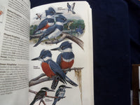 2001-2011 BIRDS OF NORTH AMERICA GUIDE BOOKS - LOT OF 3 - KD 8874