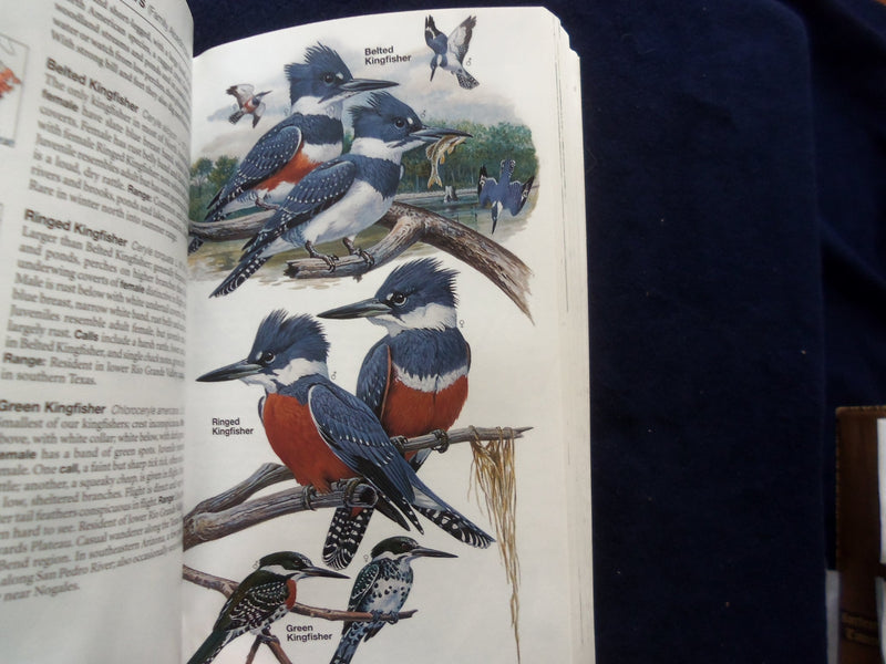 2001-2011 BIRDS OF NORTH AMERICA GUIDE BOOKS - LOT OF 3 - KD 8874