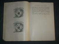 1951-1957 ANNALES D'OCULISTIQUE-LOT OF 63- NICE ARTICLES & PHOTOS-FRENCH-WR 790C