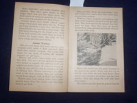 1935 PROTECTION IN NATURE BY GAYNELLE DAVIS - UNIT STUDY BOOK NO. 352 - J 9486