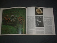 1984 KERAMOS - THE ITALIAN CERAMICS - HARD COVER BOOK - I 1848