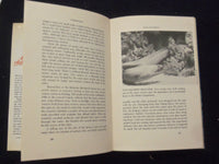 1973 KILLERS OF THE SEAS HARDCOVER BOOK BY EDWARD R. RICCIUTI - KD 8278