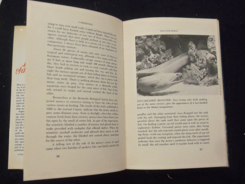 1973 KILLERS OF THE SEAS HARDCOVER BOOK BY EDWARD R. RICCIUTI - KD 8278