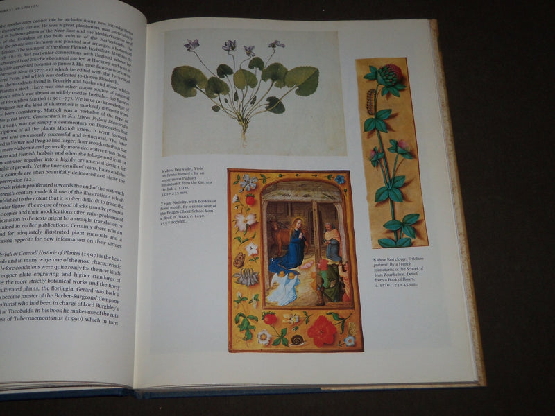 1979 FLOWERS IN ART FROM EAST TO WEST BOOK BY PAUL HULTON & SMITH - D 148
