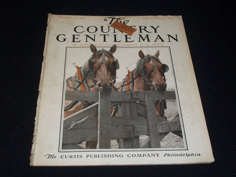 1914 JANUARY 17 THE COUNTRY GENTLEMAN MAGAZINE ILLUSTRATED COVER ART - E 2856
