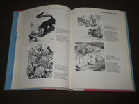 1984 TRUMAN IN CARTOON AND CARICATURE BY GIGLIO & THIELEN BOOK - KD 4718