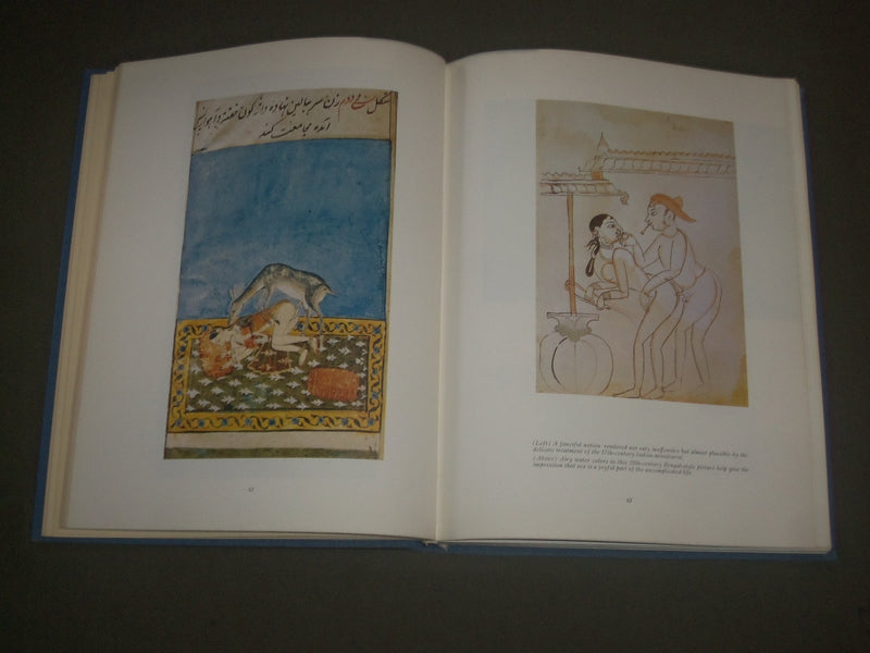1968 EROTIC ART IN THE FINE ARTS BOOK BY DR. PHYLLIS KRONHAUSEN - I 1479