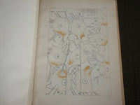 1915 ELECTRIC MOTOR NERVE CELL IN TORPEDOES BOOK BY ULRIC DAHLGREN - J 7115