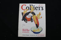 1937 DEC 4 COLLIER'S MAGAZINE - A TOUCAN AND BABY CHICKS COVER - E 11030