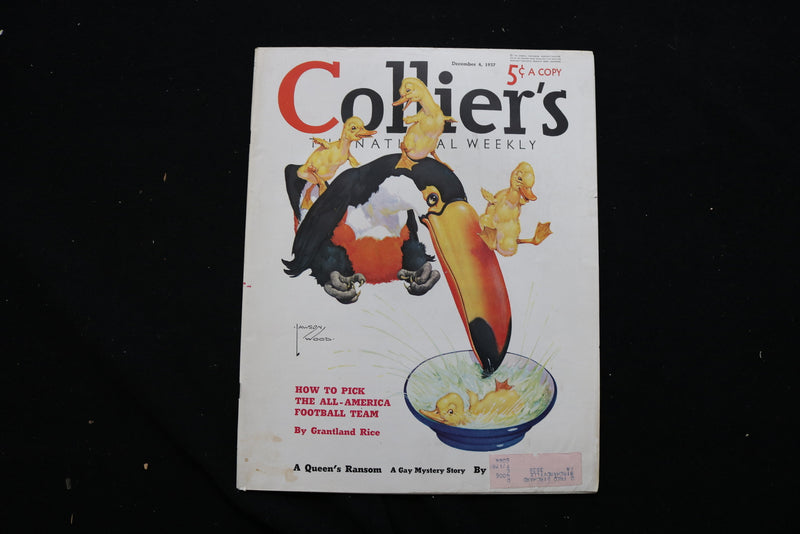 1937 DEC 4 COLLIER'S MAGAZINE - A TOUCAN AND BABY CHICKS COVER - E 11030