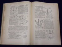 1898 AN ILLUSTRATED FLORA OF NORTHERN US & CANADA VOLUME NO. 3 - KD 3557